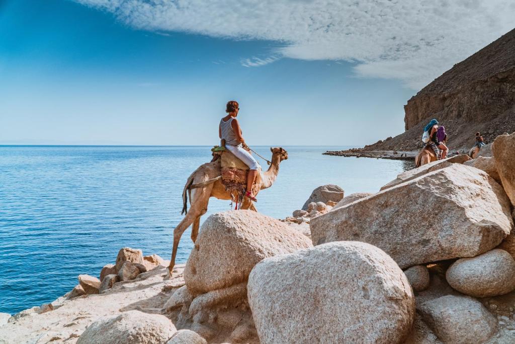 SURFERS-LOUNGE-DAHAB LAGOON